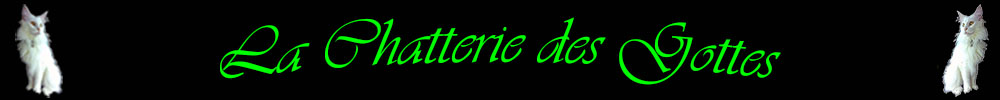 Header lcdg1
